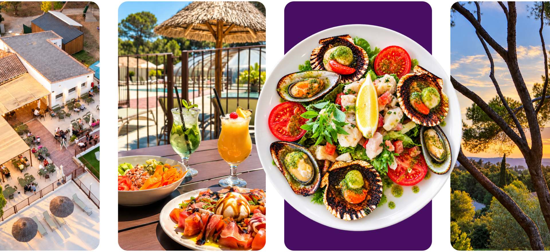 Restaurant Du Camping - Restaurant Vedene - Restaurant Vedène - Restaurant Avignon Parc - Restaurant 84800