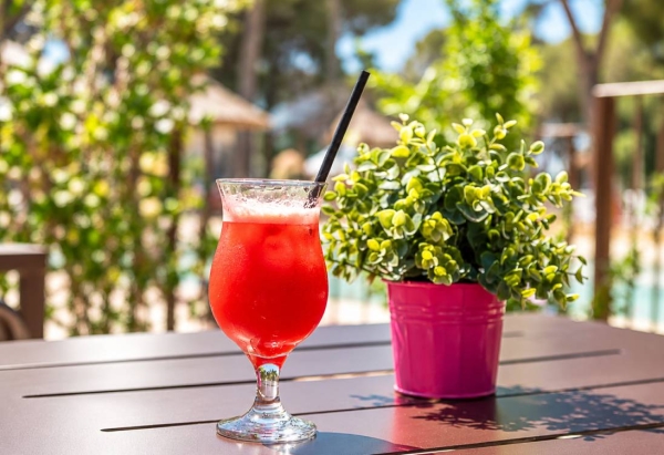 La Carte - Restaurant Du Camping  - Restaurant L'Isle-sur-la-Sorgue - Restaurant Isle-sur-la-Sorgue ouvert dimanche